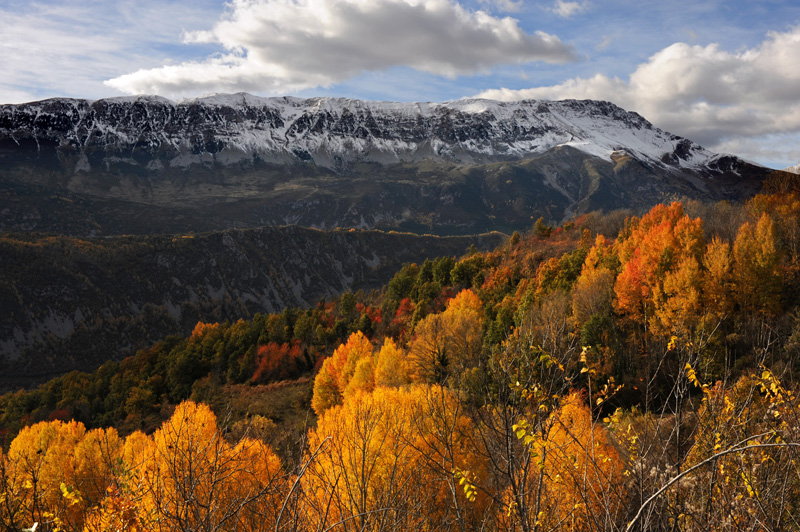 EAA 0112 Sierra Chia